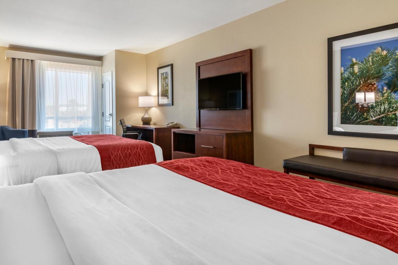 Comfort Inn & Suites Tifton Cameră foto